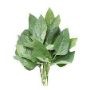 Cow Peas Image
